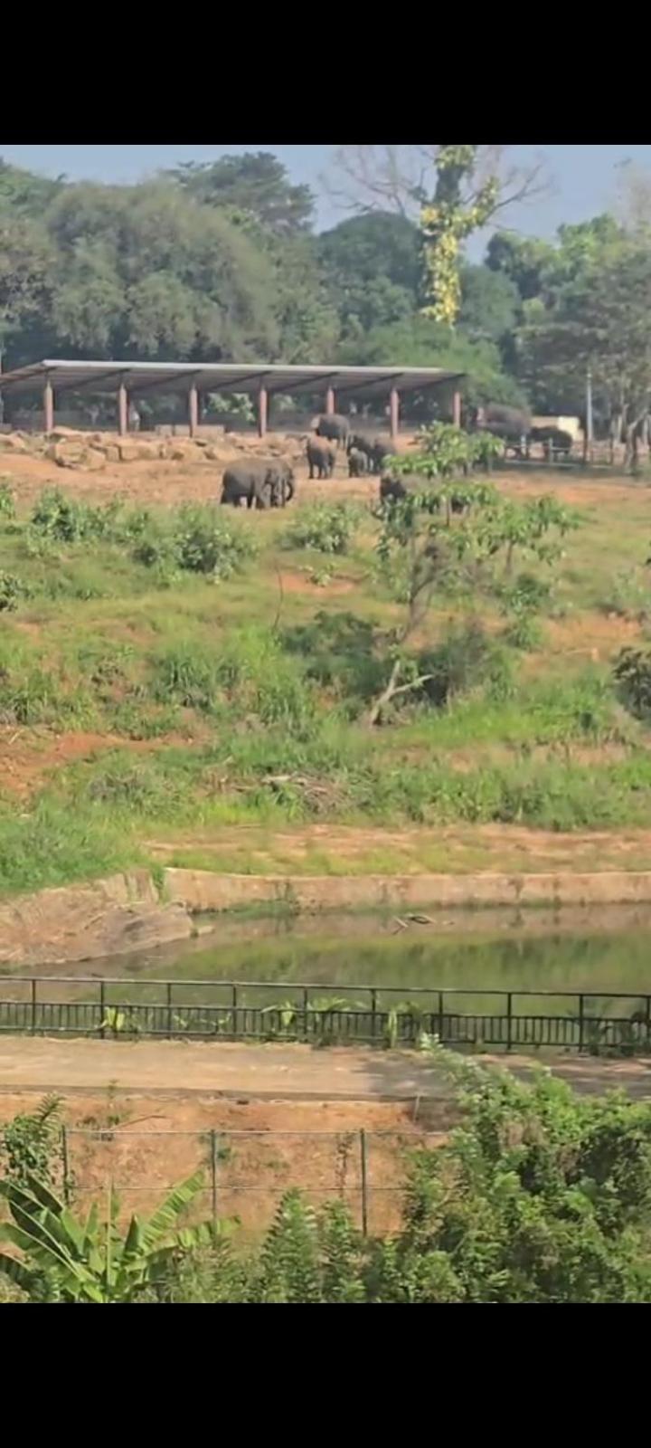 Pinnawala Elephant Front View Hotel Rambukkana Exterior photo